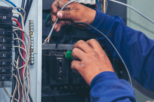 Best Ceiling Fan Installation Electrician  in Jackpot, NV